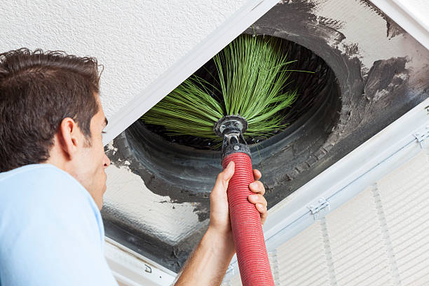 Best Local Air Duct Cleaning Services  in La Nte, MO